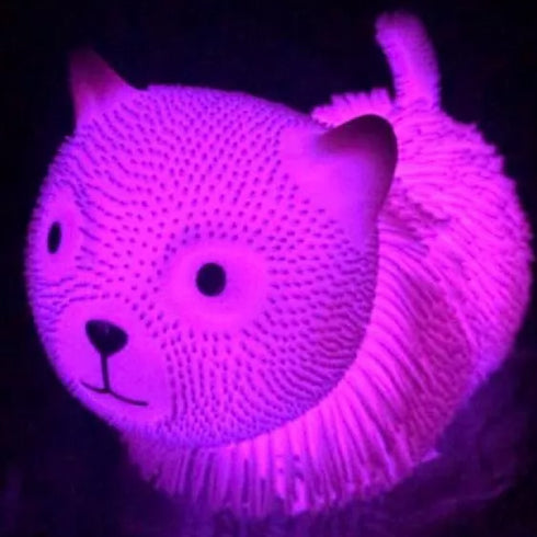 LED Light Bushy Hair Cat Squishy